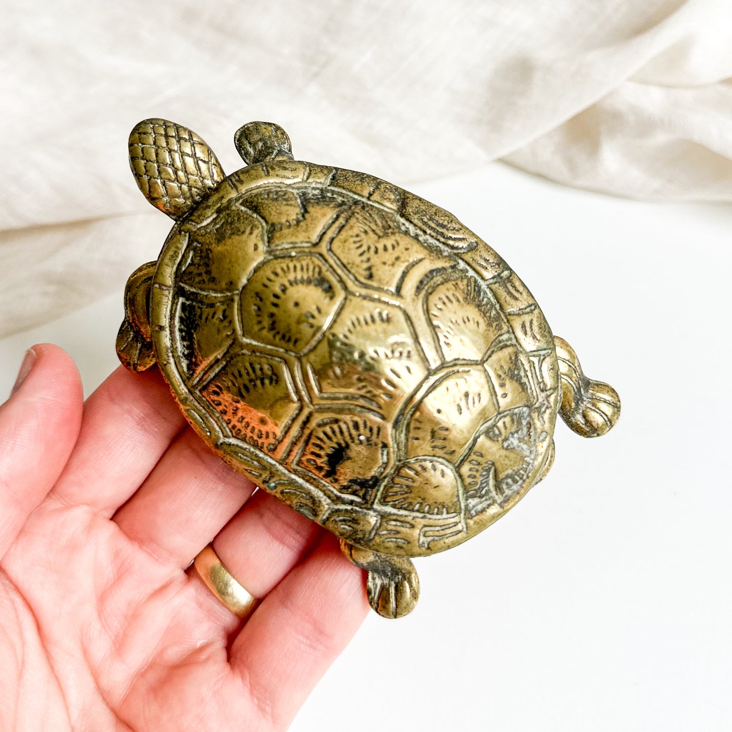 Brass Turtle Box