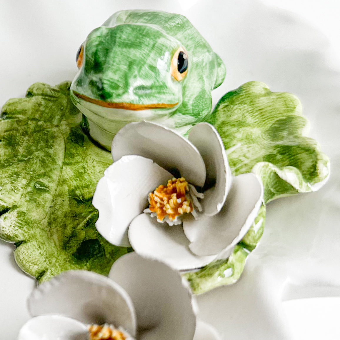 Italian Ceramic Dish with Frog