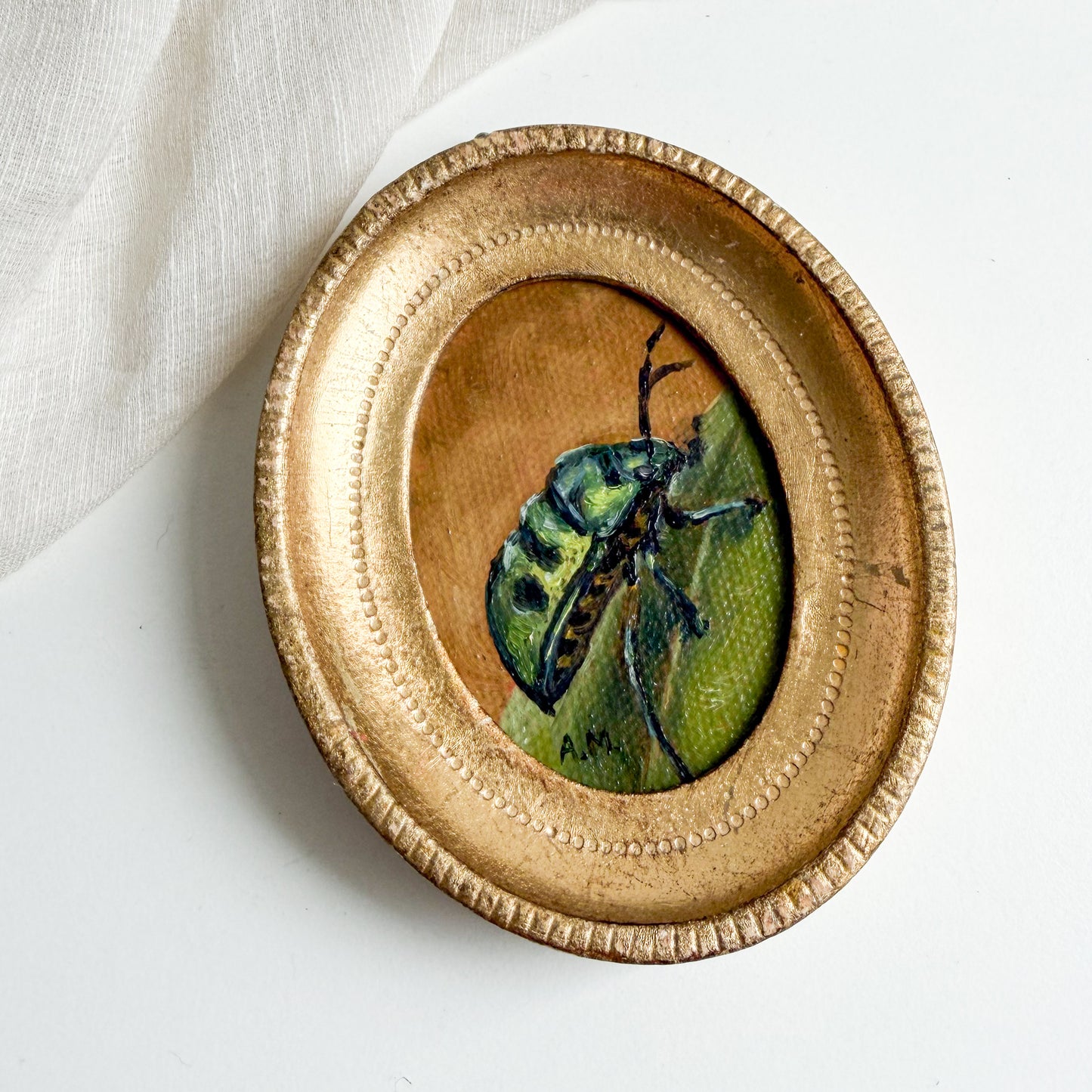 Day 5 - “Little Shiny Beetle”