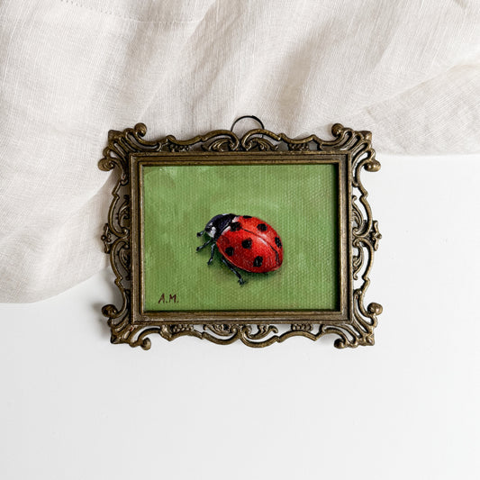Day 8 - “Cute Little Ladybird”