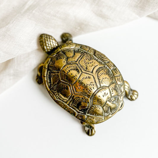 Brass Turtle Box