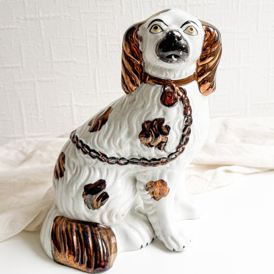 Single Staffordshire Spaniel