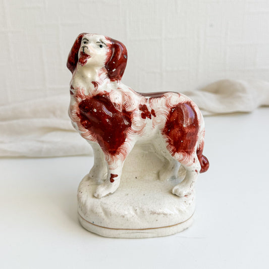 Rare Staffordshire Dog