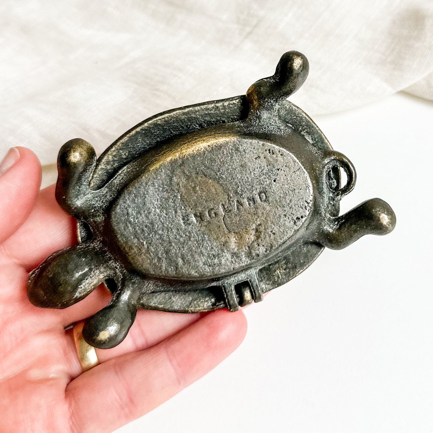 Brass Turtle Box